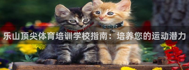 耀世集团王总：乐山顶尖体育培训学校指南：培养您的运动