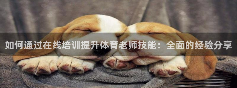 耀世娱乐下载链接安装不了：如何通过在线培训提升体育老