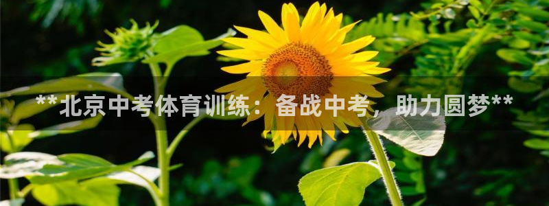 耀世娱乐招商注册 知乎是真的吗：**北京中考体育训练