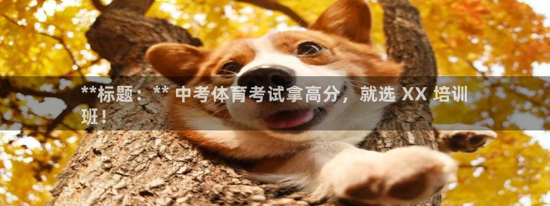 耀世娱乐赢咖APP：**标题：** 中考体育考试拿高