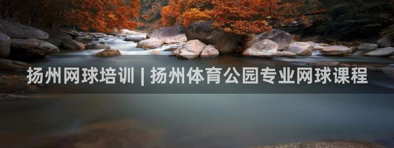 耀世平台重7O777：扬州网球培训 | 扬州体育公园