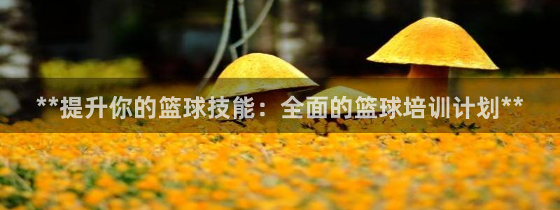 哪吒s耀世版价格：**提升你的篮球技能：全面的篮球培