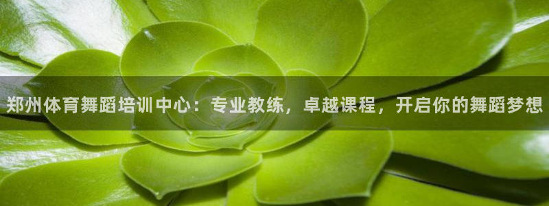 耀世娱乐含山设备：郑州体育舞蹈培训中心：专业教练，卓