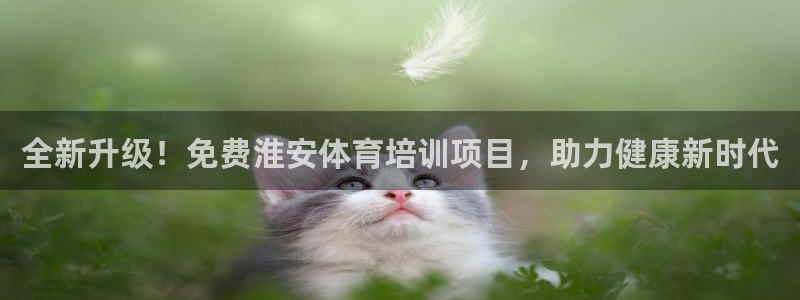 耀世娱乐是不是很黑呀：全新升级！免费淮安体育培训项目