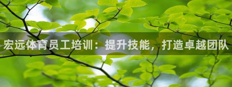 耀世娱乐官网网站下载：宏远体育员工培训：提升技能，打