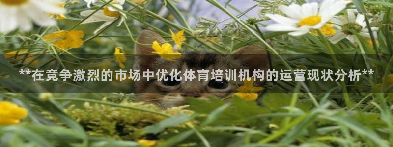 耀世而来是什么意思：**在竞争激烈的市场中优化体育培