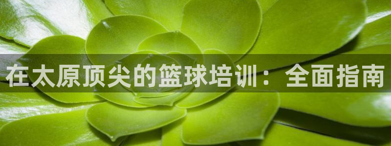 耀世是什么游戏：在太原顶尖的篮球培训：全面指南