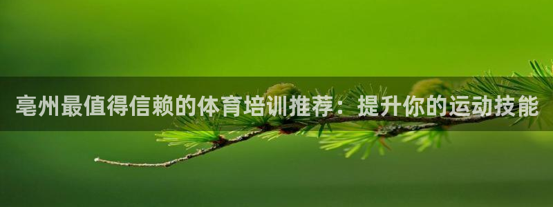 耀世是什么车：亳州最值得信赖的体育培训推荐：提升你的