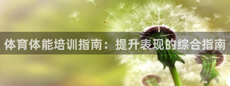 耀世集团耀宗：体育体能培训指南：提升表现的综合指南