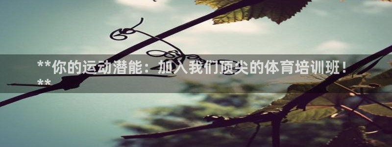 耀世娱乐百科：**你的运动潜能：加入我们顶尖的体育培