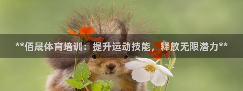 耀世平台无7O777：**佰晟体育培训：提升运动技能