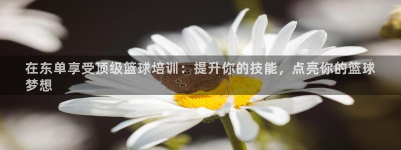 耀世娱乐如何登录账号啊：在东单享受顶级篮球培训：提升