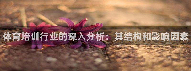 耀世开启什么意思：体育培训行业的深入分析：其结构和影