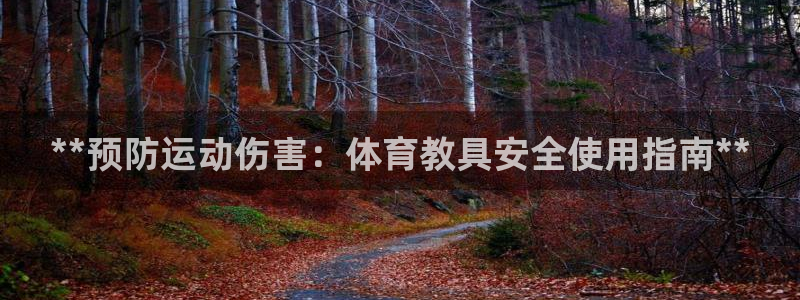 耀世是什么游戏里的人物：**预防运动伤害：体育教具安