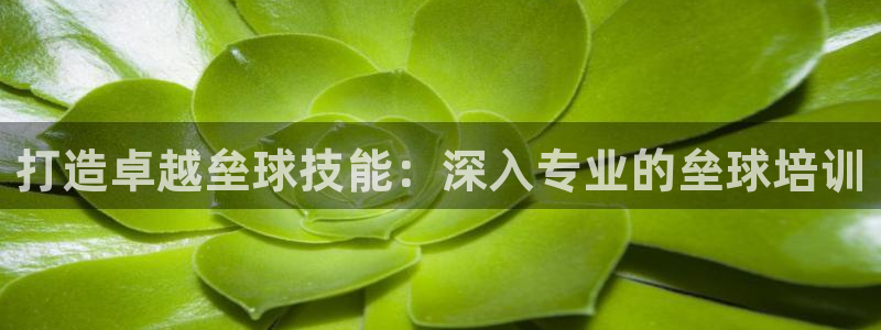 耀世官网入口：打造卓越垒球技能：深入专业的垒球培训