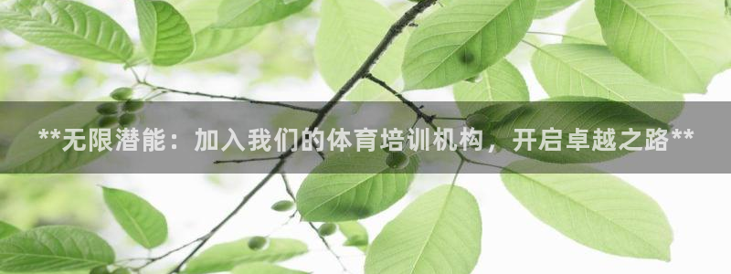 耀世挑战攻略：**无限潜能：加入我们的体育培训机构，