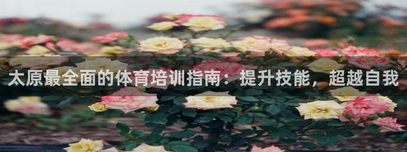 耀世娱乐是玛雅旗下的吗：太原最全面的体育培训指南：提