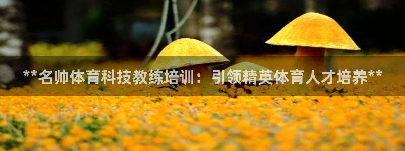 耀世娱乐联 411O31 娱乐：**名帅体育科技教练