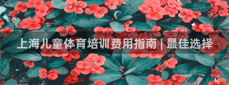 耀世平台注册链接怎么打开：上海儿童体育培训费用指南 