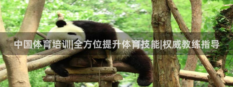 耀世平台登陆：中国体育培训|全方位提升体育技能|权威