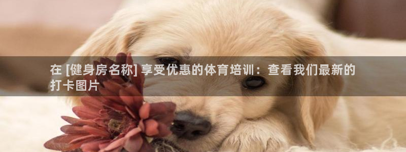 耀世平台最新注册地址：在 [健身房名称] 享受优惠的