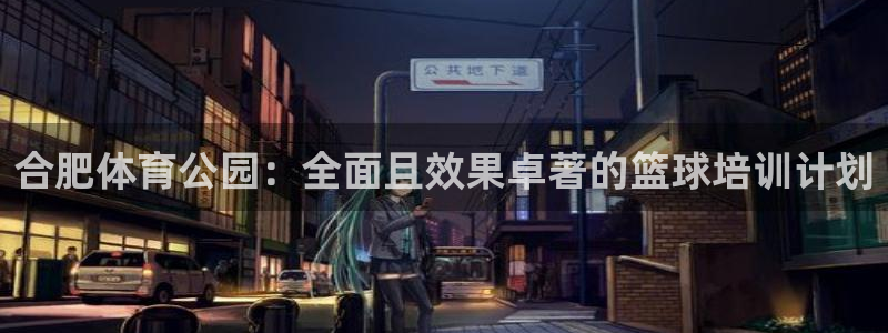 耀世娱乐平台官网：合肥体育公园：全面且效果卓著的篮球