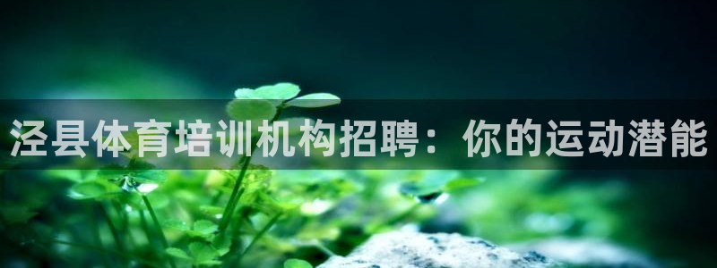 耀世娱乐辅助：泾县体育培训机构招聘：你的运动潜能