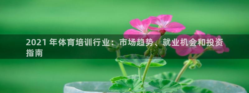 耀世娱乐怎么注册：2021 年体育培训行业：市场趋势