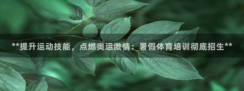 耀世平台代理怎么做任务：**提升运动技能，点燃奥运激
