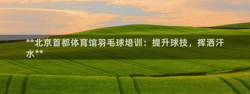 耀世平台易 411031 耀世：**北京首都体育馆羽