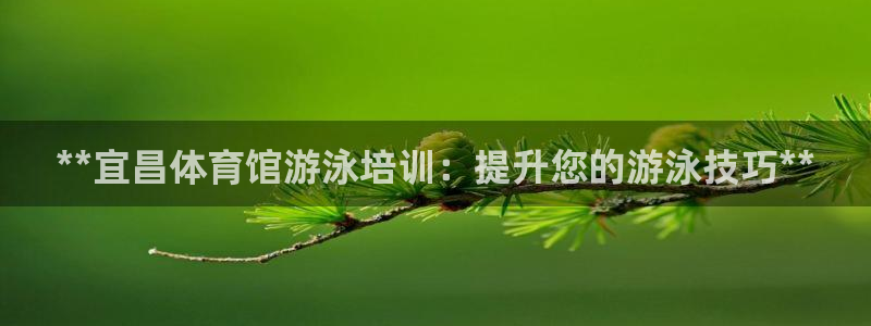 耀世娱乐辅助：**宜昌体育馆游泳培训：提升您的游泳技