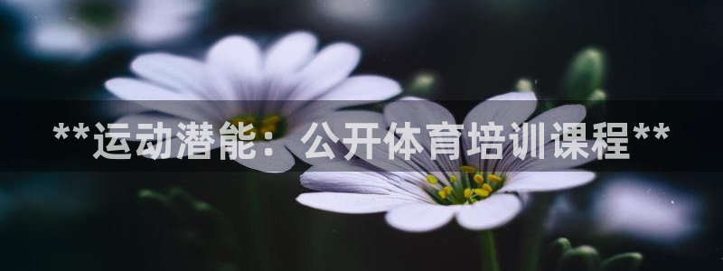 耀世娱乐是不是很黑的：**运动潜能：公开体育培训课程