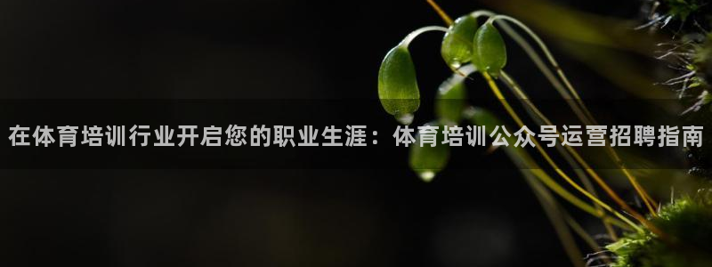 耀世平台的运营模式分析：在体育培训行业开启您的职业生