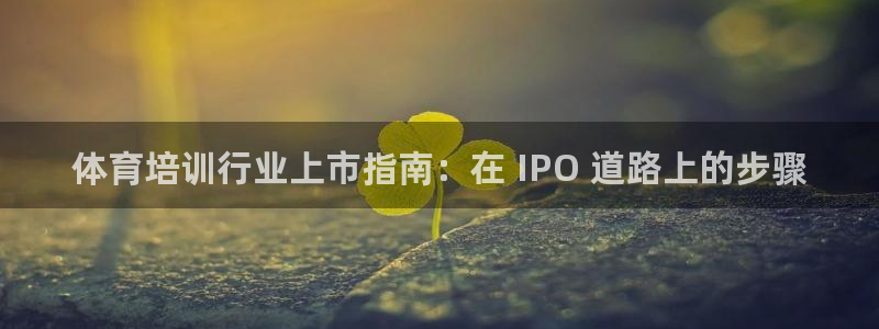耀世平台面 411O31 平台：体育培训行业上市指南