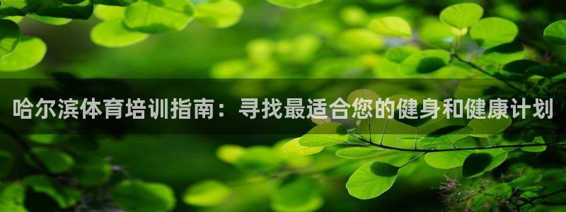 耀世平台的运营模式分析：哈尔滨体育培训指南：寻找最适