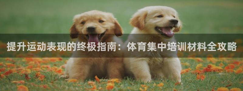 耀世平台登录地址在哪：提升运动表现的终极指南：体育集