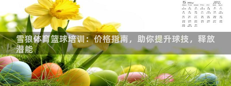 耀世集团北京快三是真的吗：雪狼体育篮球培训：价格指南