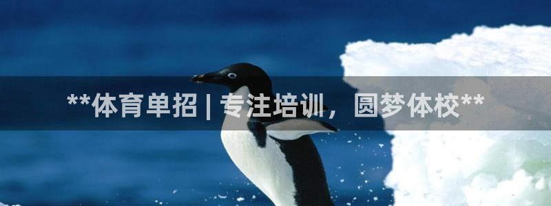 耀世兵权：**体育单招 | 专注培训，圆梦体校**