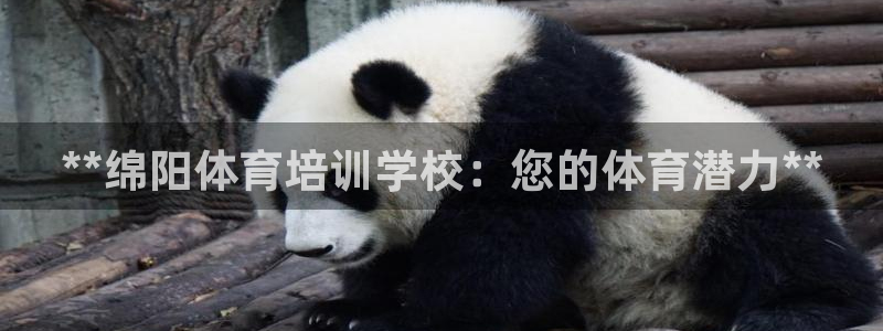 耀世而出：**绵阳体育培训学校：您的体育潜力**