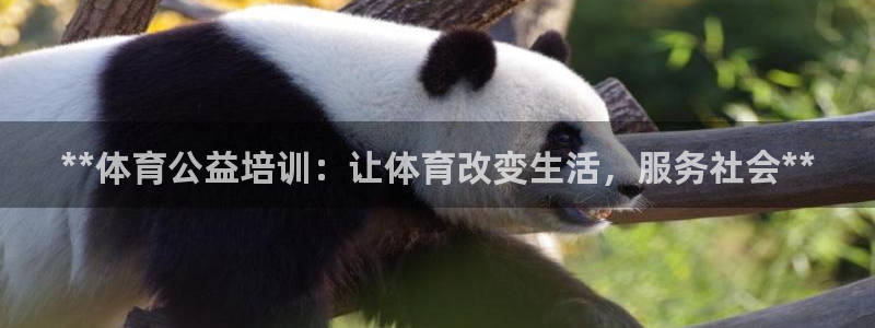 耀世盛启什么意思：**体育公益培训：让体育改变生活，