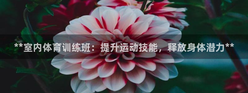 耀世平台实7O777：**室内体育训练班：提升运动技
