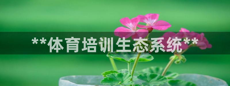 耀世娱乐是什么意思啊：**体育培训生态系统**