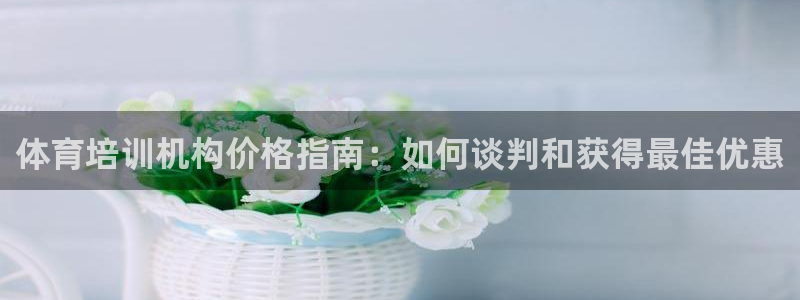 耀世首开什么意思：体育培训机构价格指南：如何谈判和获