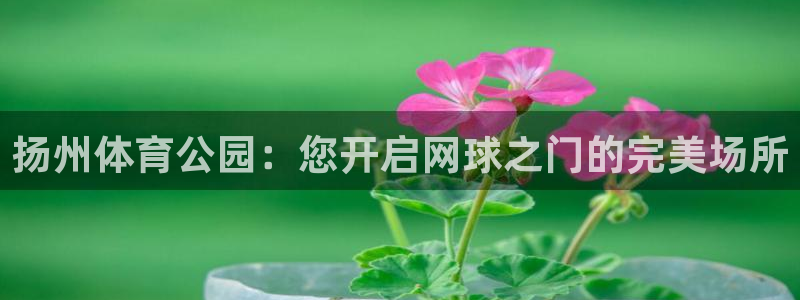 耀世娱乐出款快吗：扬州体育公园：您开启网球之门的完美