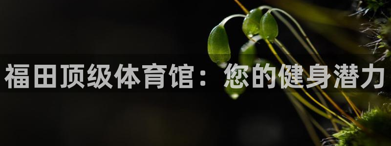 耀世娱乐是不是很黑暗：福田顶级体育馆：您的健身潜力