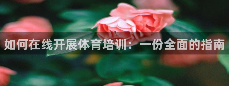耀世娱乐如何登录平台账号：如何在线开展体育培训：一份