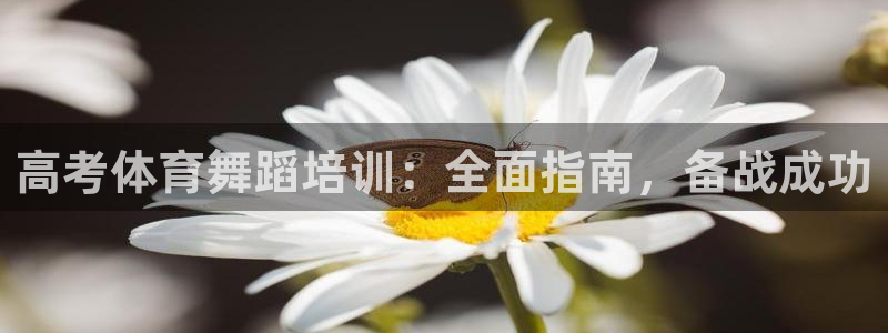 耀世娱乐合法吗：高考体育舞蹈培训：全面指南，备战成功