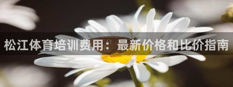 耀世天下的网名是什么意思啊男生：松江体育培训费用：最