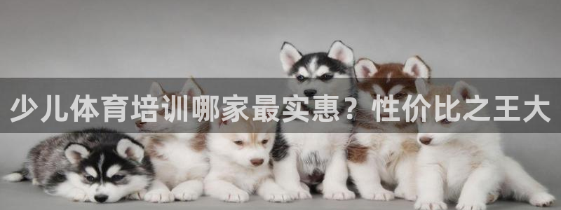 耀世挑战第三关怎么打：少儿体育培训哪家最实惠？性价比
