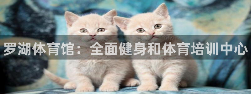 耀世平台总代理电话：罗湖体育馆：全面健身和体育培训中